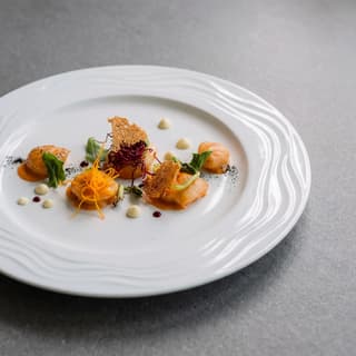 Fine dining appetizer professional photo