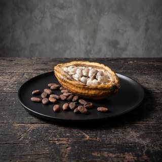 Cracked cocoa pods yellow pulp dark beans tropical bean-to-bar — single origin chocolatier hero photography