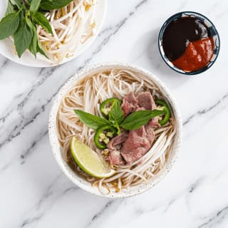 Oksekøds-pho-skål med rå steak, brisket, risnudler, urter, lime og bønnespirer set oppefra, Houston vietnamesisk — pho-hero-fotografering