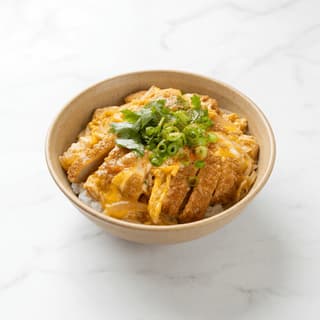 Katsudon pork cutlet egg onion rice donburi bowl mitsuba scallion overhead — katsudon hero photography