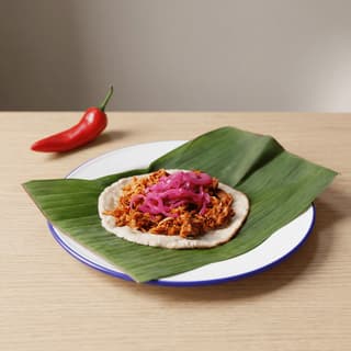 Cochinita pibil brick orange achiote pork pickled red onion banana leaf plate — cochinita hero photography