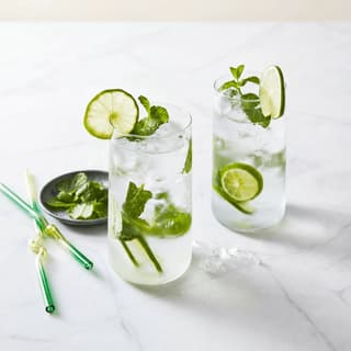 Mojito cocktail tall glass mint lime sugarcane crushed ice miami cuban rooftop — mojito hero photography