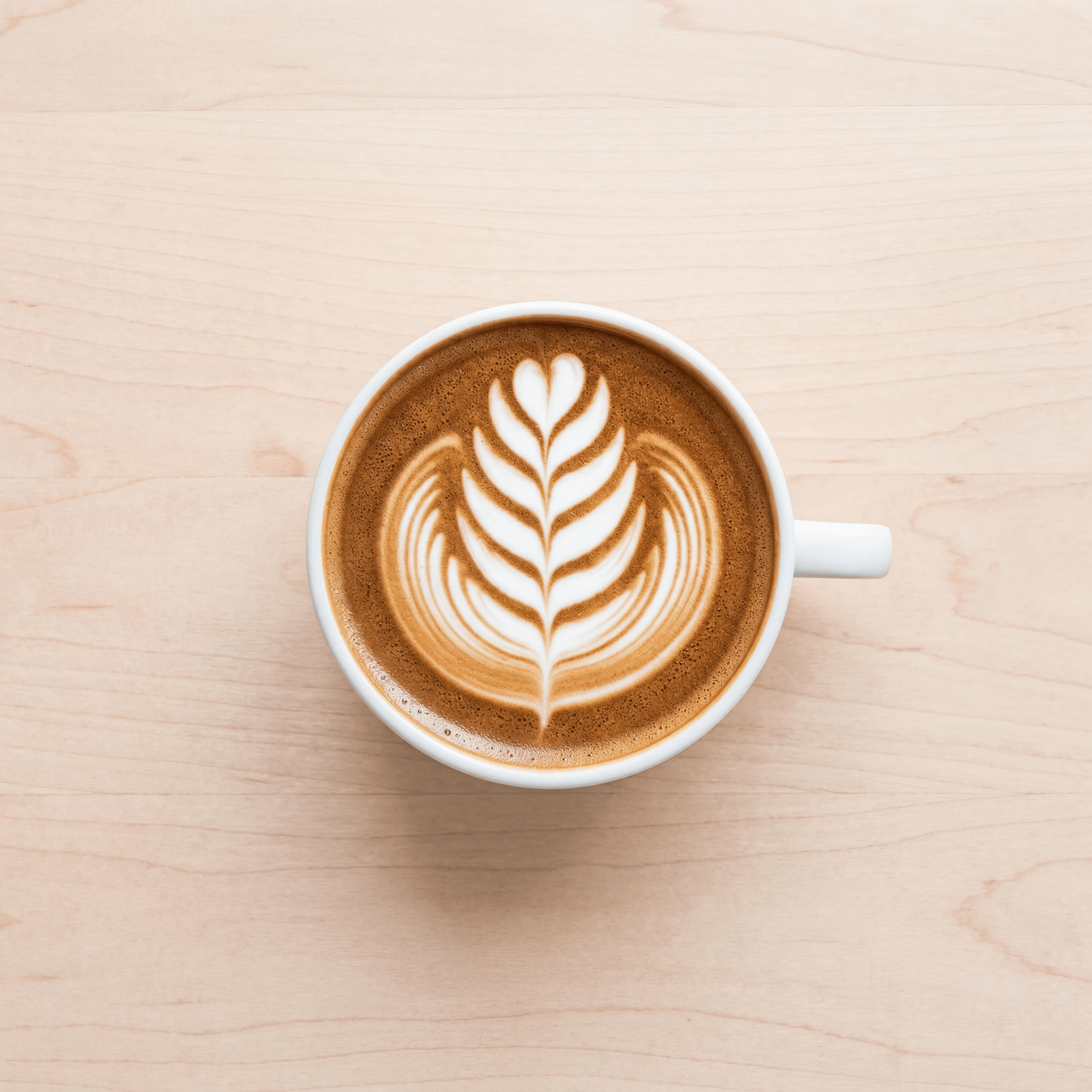 Single rosetta latte art microfoam close up overhead light wood — iconic latte art FAQ sidebar photography