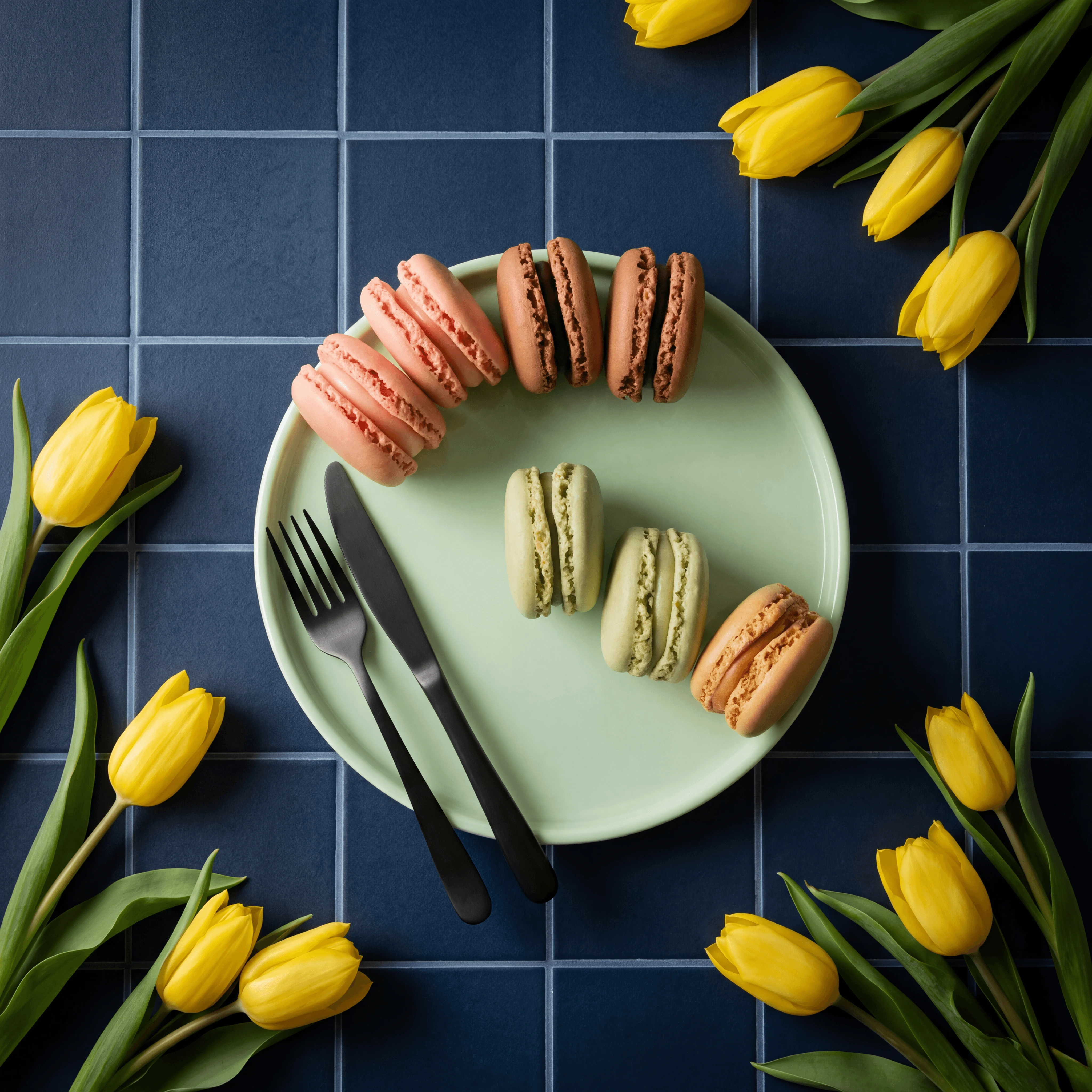 Asortiment pastel de macarons în douăsprezece culori pe gresie albastru-bleumarin întunecat — fotografie de patiserie franțuzească