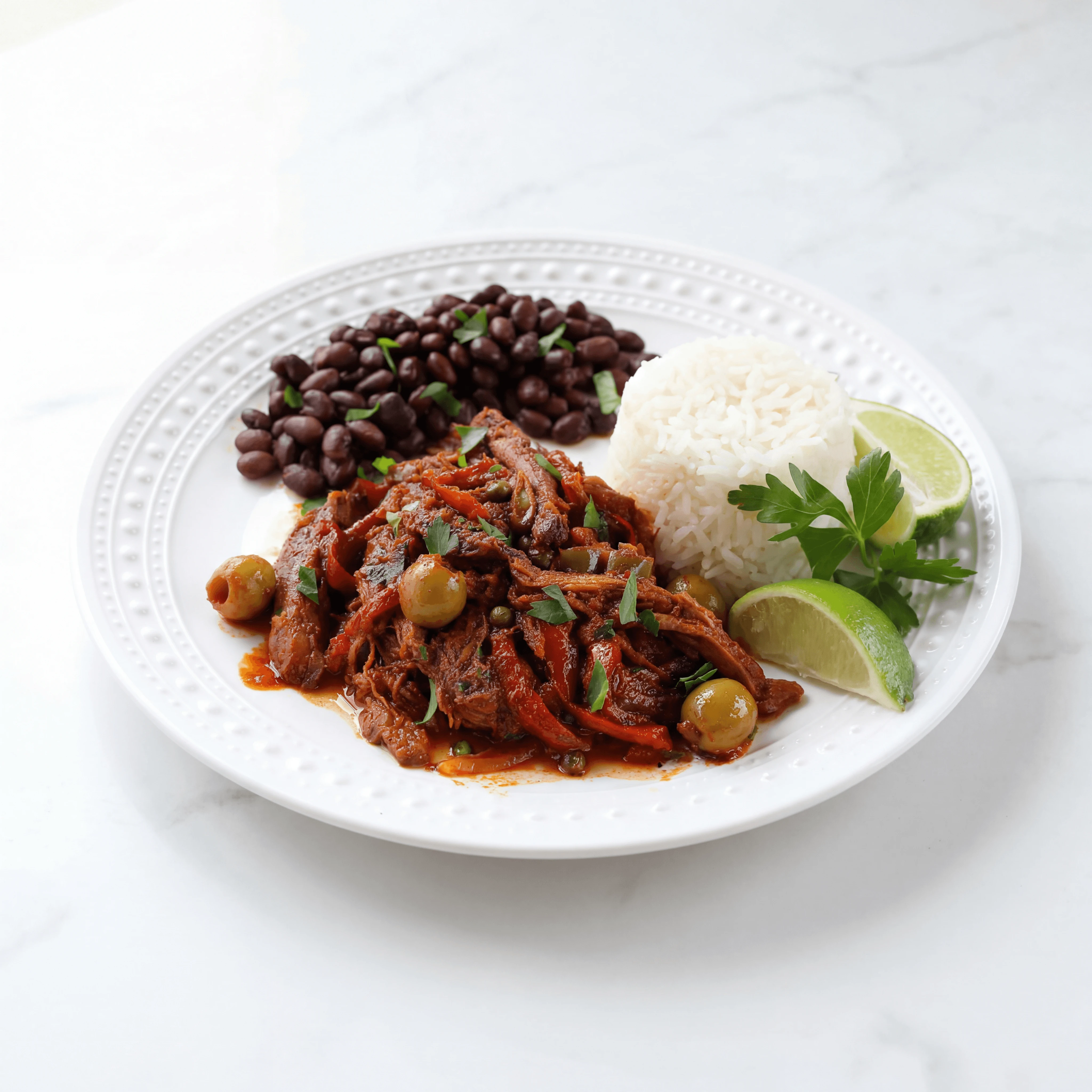 Ropa vieja shredded beef tomato sofrito peppers rice plate — ropa vieja hero photography