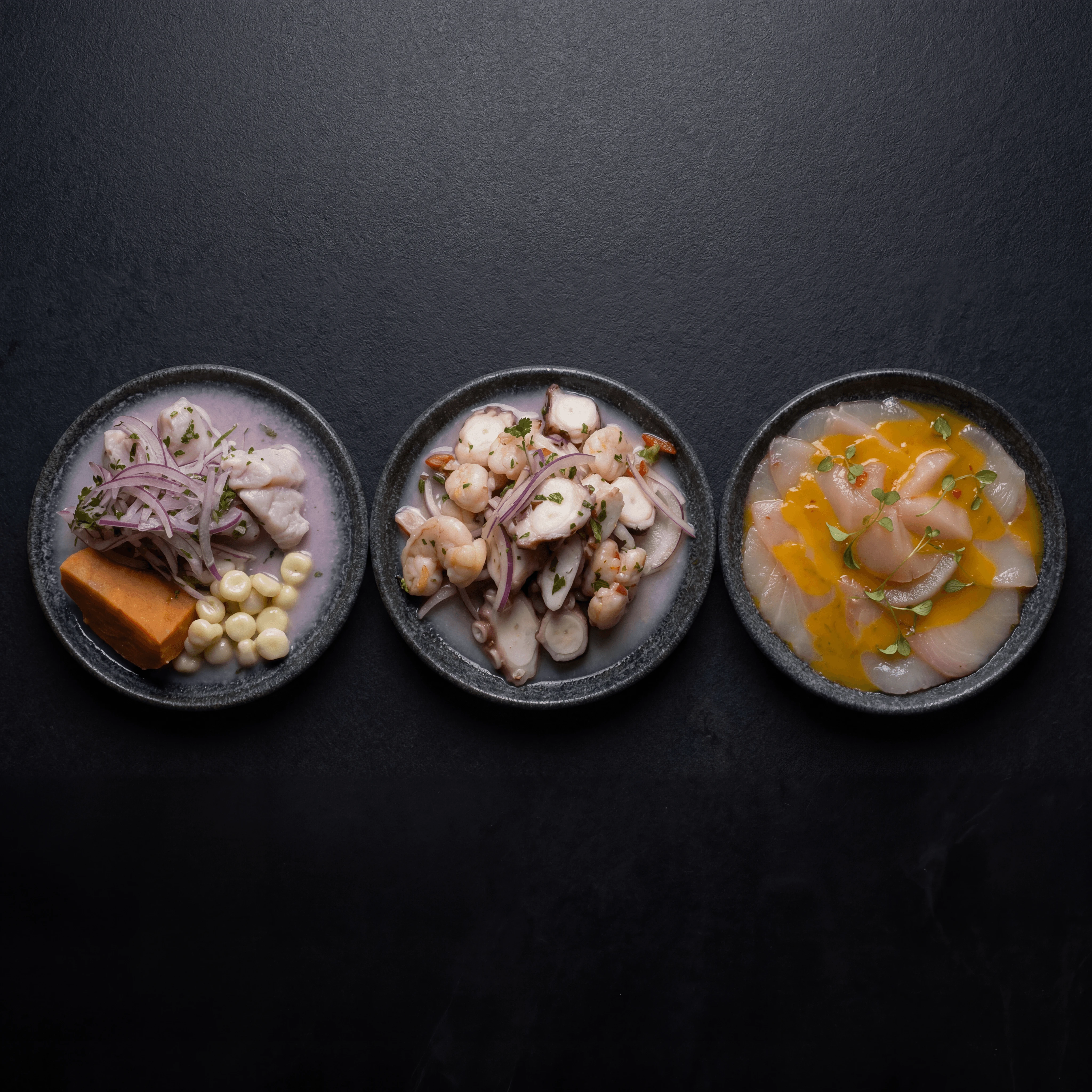 Three ceviche tiradito bowls trio overhead dark monolith Peruvian — ceviche trio card photography